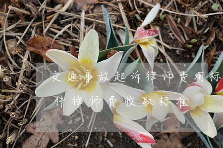 交通事故起诉律师费用标准(交通事故赔偿案件律师费收取标准)