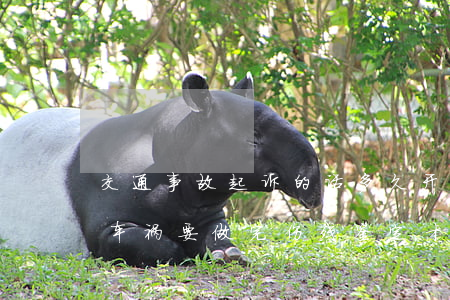 交通事故起诉的话多久开庭还要做伤残鉴定(车祸要做完伤残鉴定才可以起诉吗?)