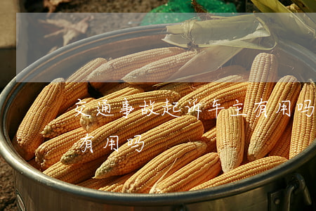 交通事故起诉车主有用吗(交通事故起诉车主有用吗)