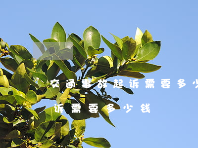 交通事故起诉需要多少钱(交通事故去法院起诉需要多少钱)