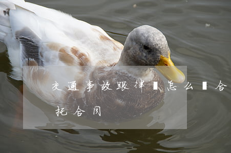 交通事故跟律師怎么寫合同(交通事故律師委托合同)