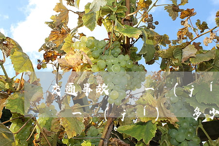 交通事故輕傷一級(jí)大概賠多少錢(輕傷一級(jí)賠多少錢合適)