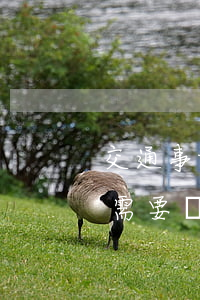 交通事故輕傷需要請律師嗎(輕傷二級被害人需要請律師嗎)