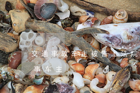 交通事故车主被告上法院怎么做(怎么起诉肇事车主)