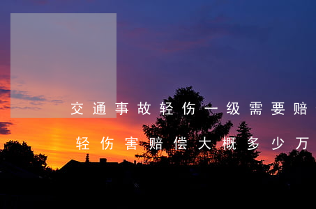 交通事故轻伤一级需要赔偿多少钱(交通事故轻伤害赔偿大概多少万)