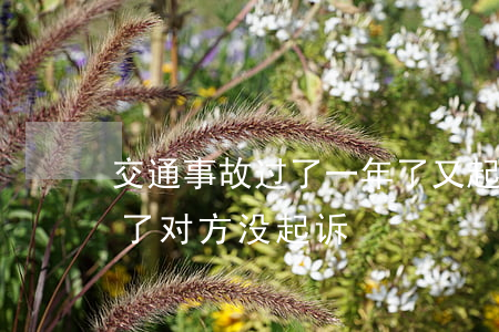 交通事故过了一年了又起诉我(交通事故两年了对方没起诉)
