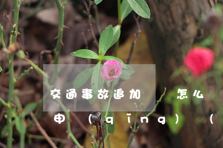交通事故追加訴訟怎么寫(交通事故追加被告申請(qǐng)書(shū)模板)