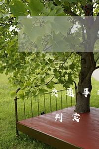 交通事故追尾有責(zé)嗎(汽車追尾怎么判定責(zé)任)