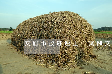 交通事故逃逸工傷案例(交通事故逃逸重傷)