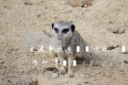 交通事故造對對方死亡關(guān)司要多少律師費(fèi)(交通事故對方全責(zé)請律師費(fèi)用誰出)