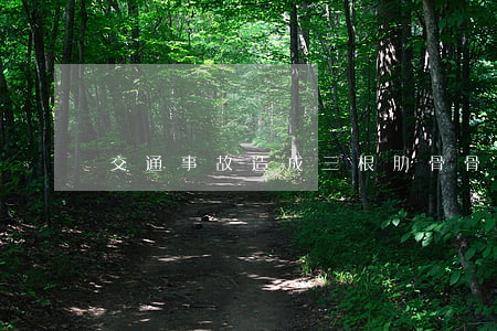 交通事故造成三根肋骨骨折賠償多少錢