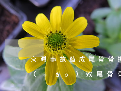 交通事故造成尾骨骨折賠償案例(交通事故導(dǎo)致尾骨骨折能評上傷殘嗎)