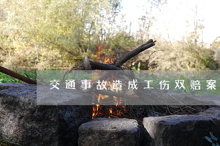 交通事故造成工伤双赔案例