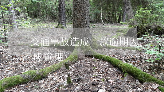 交通事故造成貸款逾期(因為貸款公司出錯造成逾期)
