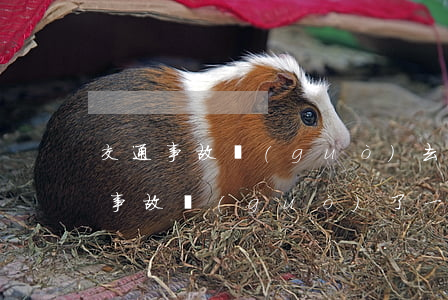 交通事故過(guò)去三年了被起訴(交通事故過(guò)了一年了又起訴我)