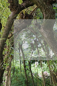 交通事故達(dá)到傷殘的請律師費(fèi)用多少(交通事故賠償案件律師費(fèi)收取標(biāo)準(zhǔn))