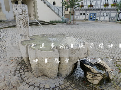 交通事故遺腹子精神損害撫慰金(交通事故精神撫慰金一般多少)