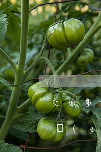 交通事故醫(yī)藥費(fèi)賠償誤區(qū)
