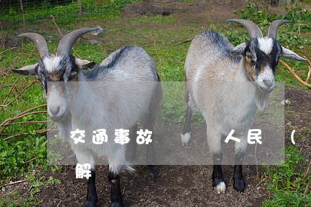交通事故釀慘禍，人民調(diào)解巧化解