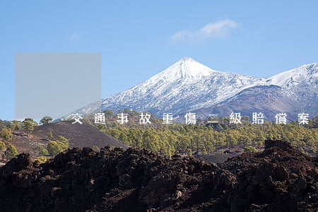 交通事故重傷二級賠償案例
