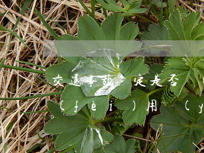 交通事故鑒定是否強(qiáng)制性，費(fèi)用應(yīng)誰(shuí)承擔(dān)