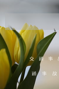 交通事故開庭沒有律師怎么辯護(hù)(交通事故起訴不請(qǐng)律師法庭上應(yīng)該怎么應(yīng)對(duì))