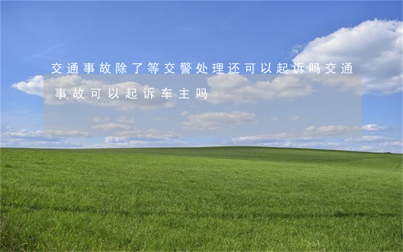 交通事故除了等交警处理还可以起诉吗(交通事故可以起诉车主吗)