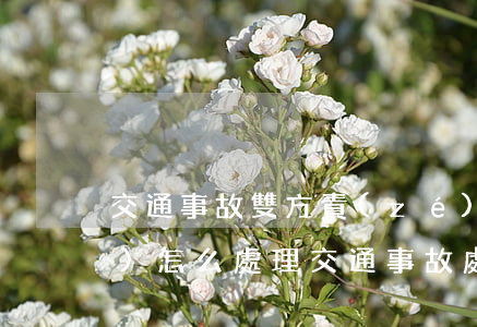 交通事故雙方責(zé)任保險(xiǎn)怎么處理(交通事故處理保險(xiǎn)公司賠償需要雙方簽字嗎)