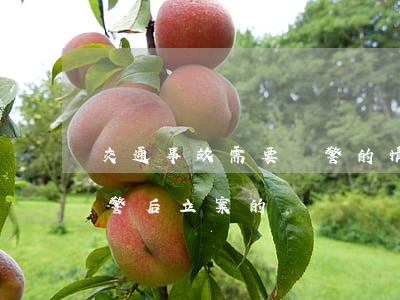 交通事故需要報警的情形有哪些（交通事故報警后立案的標準）
