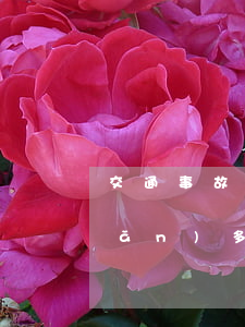 交通事故騙保多少錢可以立案(騙保險(xiǎn)多少錢可以立案)