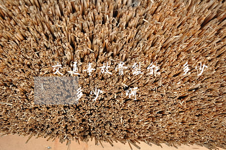 交通事故骨裂能賠多少錢啊(交通事故骨裂能賠多少錢啊)