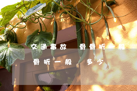 交通事故髕骨骨折一般賠多少(交通事故髕骨骨折一般賠多少)