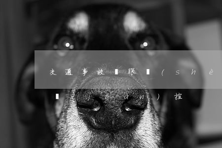 交通事故鷹眼設(shè)備(電子鷹眼交通監(jiān)控)