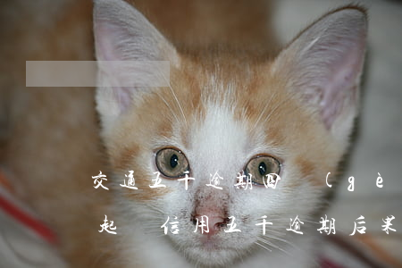 交通五千逾期四個(gè)月會(huì)起訴 信用五千逾期后果