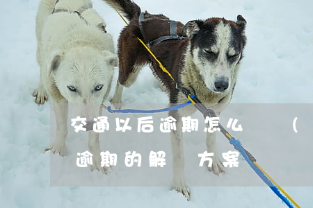 交通以后逾期怎么辦，關(guān)于交通逾期的解決方案