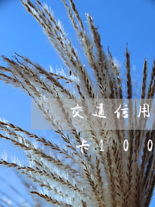 交通信用卡10000逾期两年-交通信用卡10000逾期两年利息多少