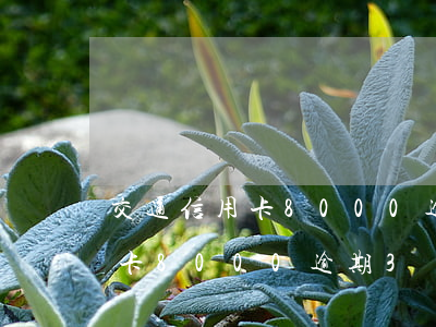 交通信用卡8000逾期3個月-交通信用卡8000逾期3個月利息多少