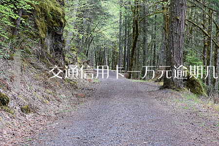 交通信用卡一万元逾期(几千块信用卡逾期)