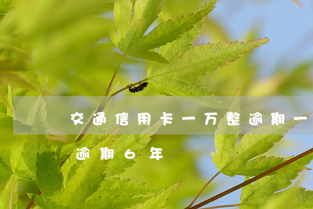交通信用卡一万整逾期一年(交通信用卡3千逾期6年)
