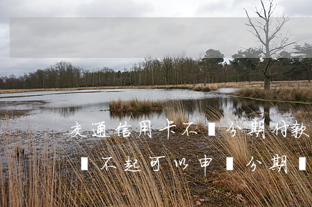 交通信用卡不還分期付款(交通信用卡逾期了還不起可以申請分期還不)