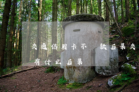 交通信用卡不還款后果(交通銀行信用卡不還有什么后果)