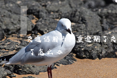 交通信用卡严重逾期了(交通信用卡严重逾期了怎么办)