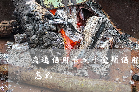 交通信用卡五千逾期(信用5萬以上卡逾期會怎么樣)