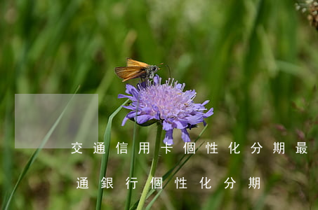 交通信用卡個性化分期最長能分多少期-交通銀行個性化分期