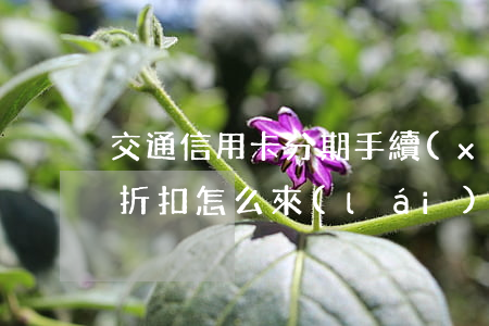 交通信用卡分期手續(xù)費(fèi)折扣怎么來(lái)(信用卡分期手續(xù)費(fèi)打折)