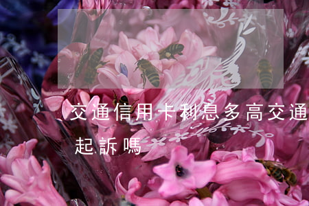 交通信用卡利息多高(交通信用卡利息高可以起訴嗎)