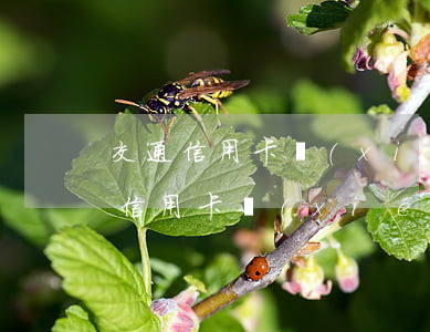 交通信用卡協(xié)商分期后逾期(交通信用卡協(xié)商分期后逾期怎么辦)