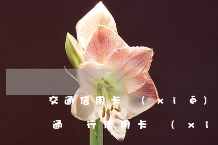 交通信用卡協(xié)商分期嗎(如何和交通銀行信用卡協(xié)商還款)