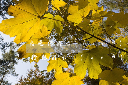 交通信用卡協(xié)商怎么做(怎么和交行信用卡協(xié)商還款)