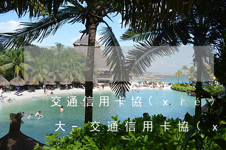 交通信用卡協(xié)商還款成功率大不大-交通信用卡協(xié)商還款成功率大不大呀